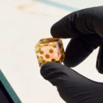 Of Ember and Flame - Yamb Pre-order