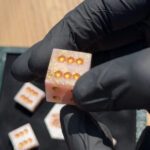 Marble & Majesty - Yamb