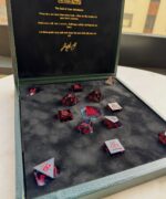 Alucard - 13pc - Image 4