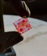 Sakura - Yamb - Image 5