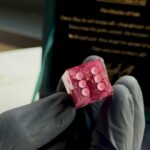 Treasure Bloom - Yamb