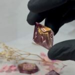 Treasure Bloom - 8pc