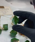 Misty Forest - 8pc Pre-Order