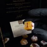 Dragon Ball Z - 13pc Pre-Order