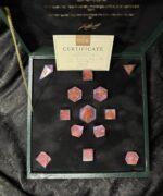 Sunbound Violet - 13pc - Image 2