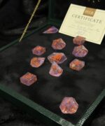 Sunbound Violet - 13pc - Image 6