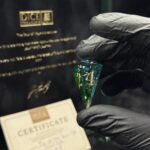 Tide of two Skies - 13pc