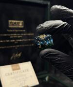 Tide of two Skies - 13pc - Image 5