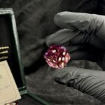 Queen's Corruption - Yamb