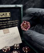 Queen's Gambit - Yamb