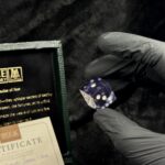 Nebula's Shadow - Yamb