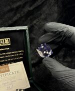 Nebula's Shadow - Yamb